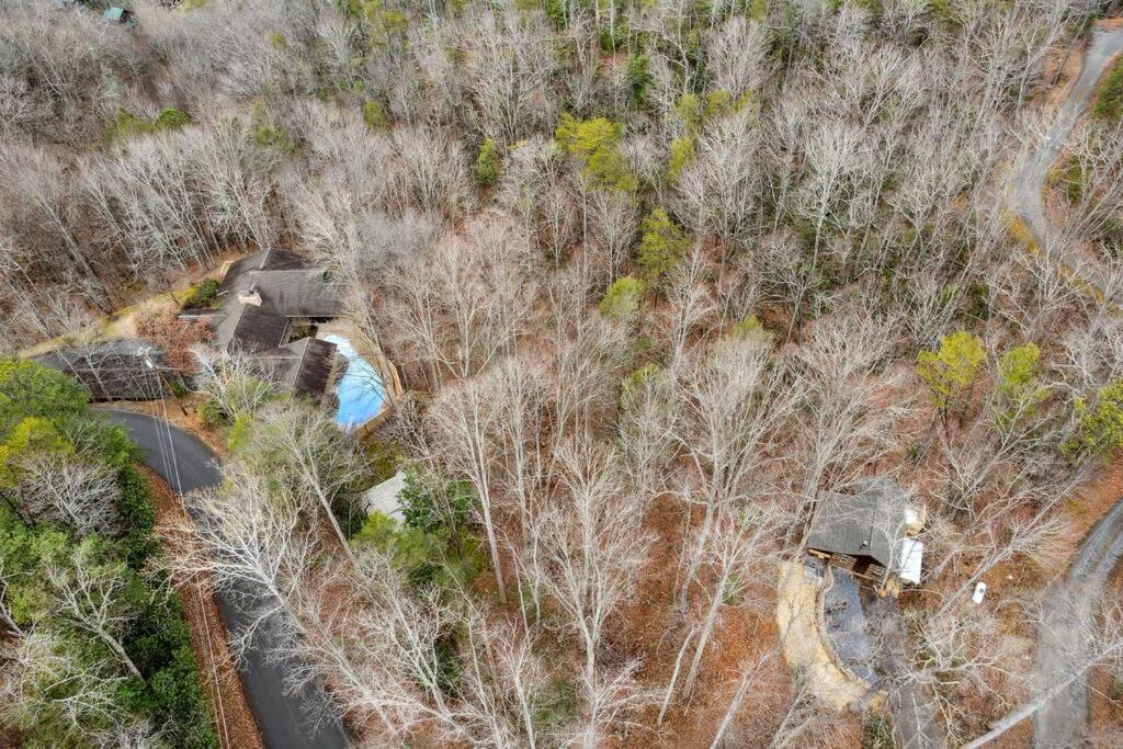 Boozy Bear Bungalow Romantic Cabin 5 Mins 2 Downtown With Hot Tub And Fire Pit ガトリンバーグ エクステリア 写真