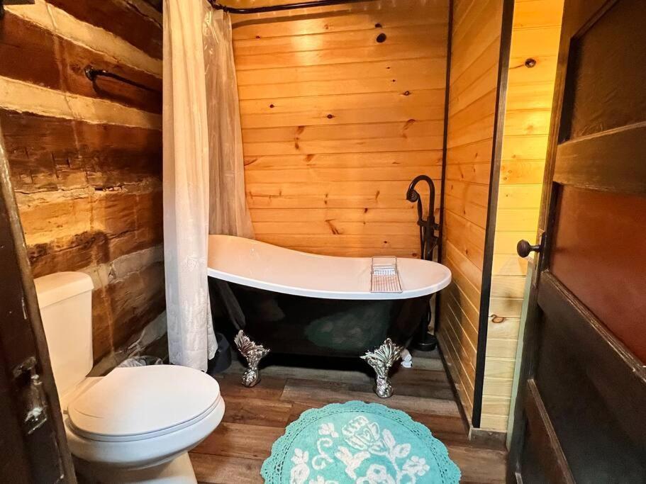 Boozy Bear Bungalow Romantic Cabin 5 Mins 2 Downtown With Hot Tub And Fire Pit ガトリンバーグ エクステリア 写真